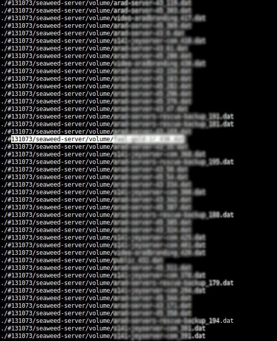 Seaweedfs volume files
